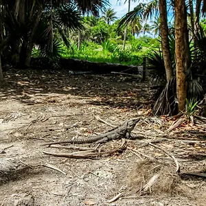 Сasa de vacaciones Studio @ Mestiza, 307b, Tulum
